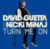 DAVID GUETTA FEAT. NICKI MINAJ  - TURN ME ON (NOVO)