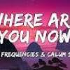 Lost+Frequencies%2C+Calum+Scott - Where+Are+You+Now