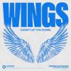 Armand+Van+Helden%2C+Karen+Harding - Wings+%28I+Wont+Let+You+Down%29