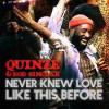 Quinze%2C+Bob+Sinclar - Never+Knew+Love+Like+This+Before