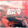 Newera - Birds+In+The+Sky