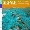 Sigala%2C+Trevor+Daniel%2C+24kgoldn - It%27s+A+Feeling