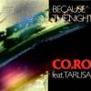 Co.ro.+Feat.+Taleesa - Because+The+Night