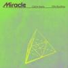 Calvin+Harris%2C+Ellie+Goulding - Miracle