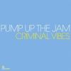 CRIMINAL VIBES - PUMP UP THE JAM